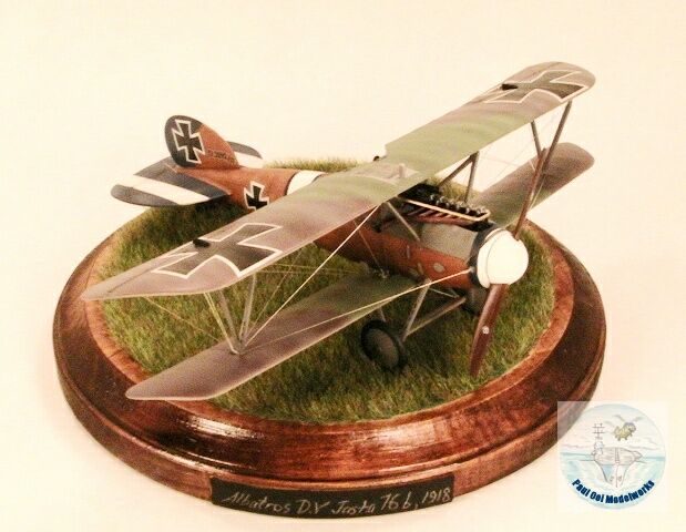 1/48 Biplane - Gold Medal