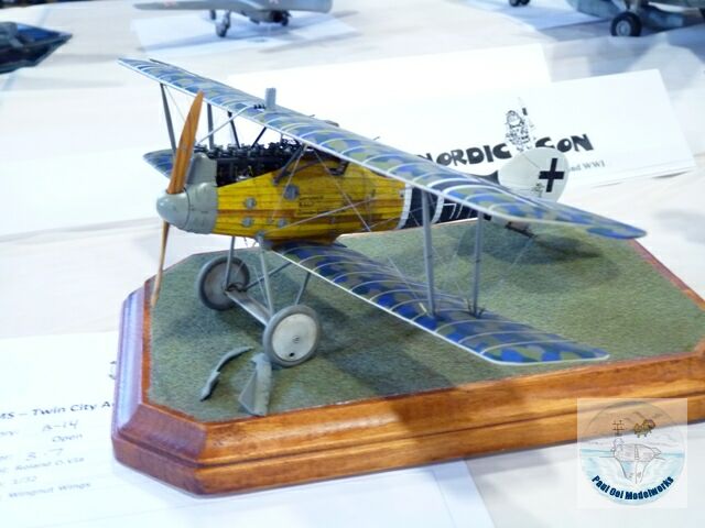 Roland D.VI by Wingnuts, Best Biplane of Show