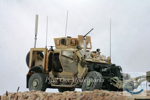 Disabled MRAP: 19th June 2010, Helmad Province, Afghanistan